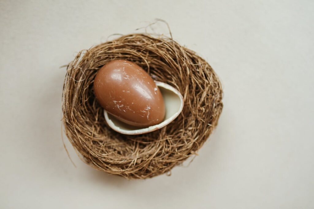 chocolate egg in birds nest